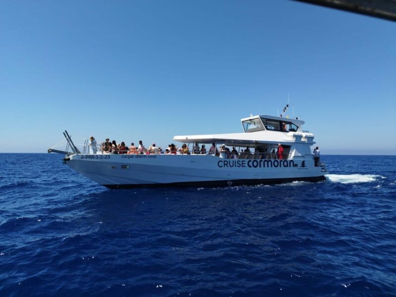 From Palma: 3-Hour Morning Dolphin Watching Boat Tour - From Palma: 3-Hour Morning Dolphin Watching Boat Tour – A Balearic Sea Adventure