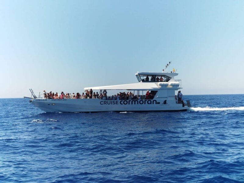 From Palma: 3-Hour Morning Dolphin Watching Boat Tour - Key Points