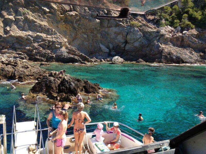 From Palma: 3-Hour Morning Dolphin Watching Boat Tour - Who Will Love This Tour?