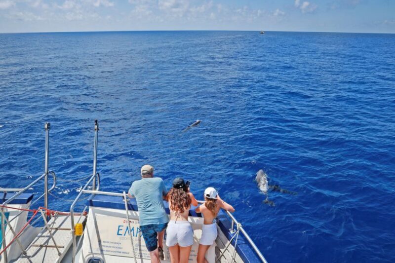 From Palma: 3-Hour Morning Dolphin Watching Boat Tour - Final Thoughts: Is It Worth It?