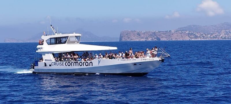 From Palma: 3-Hour Morning Dolphin Watching Boat Tour - FAQ