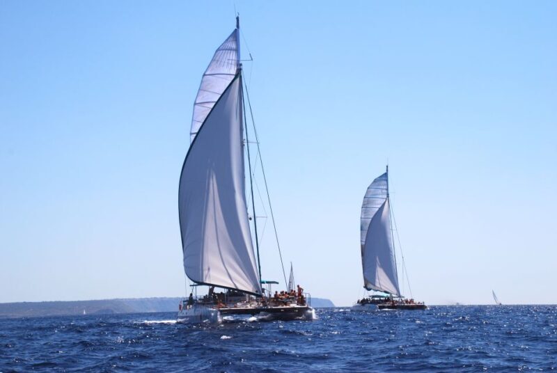 From Palma de Mallorca: Boat Cruise to Illetes - Who Should Consider This Tour?