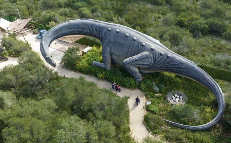 From Palma de Mallorca: Dinosaurland tour - A Closer Look at the Dinosaurland Tour Experience
