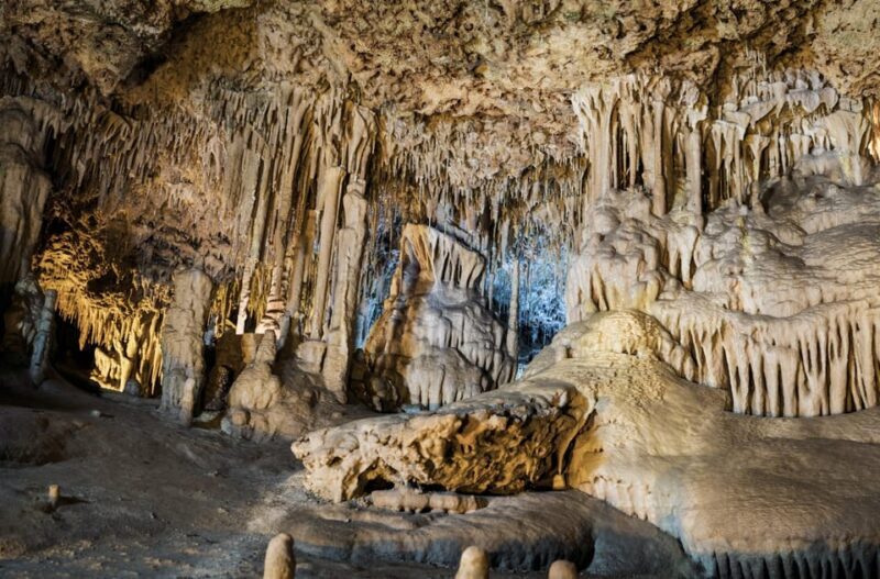 From Palma de Mallorca: Dinosaurland tour - FAQ