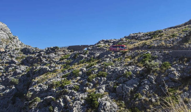 From Palma: Serra Tramuntana and Lluc Monastery Guided Tour - Wrapping Up: Who Should Book This Tour?