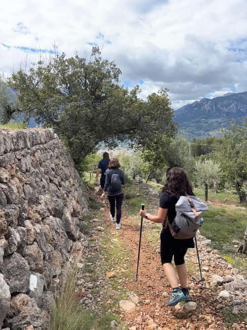 From Palma: Sierra de Tramuntana Hiking with small Picnic - Why This Tour Is a Great Value