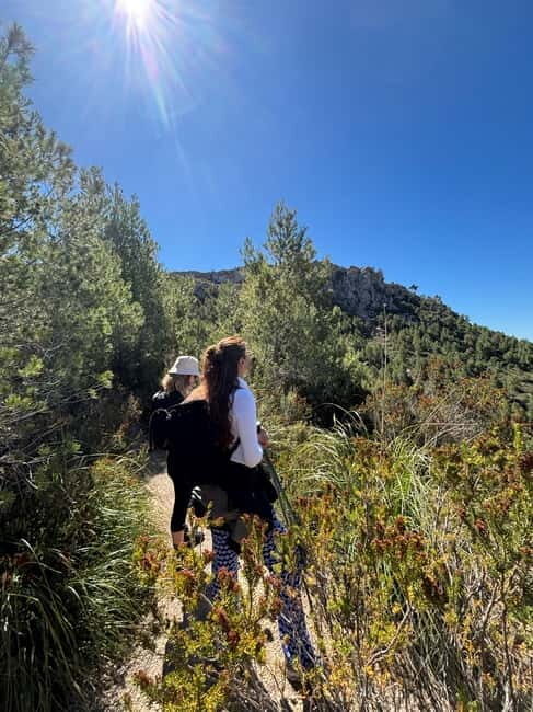 From Palma: Sierra de Tramuntana Hiking with small Picnic - Practical Details: What You Need to Know