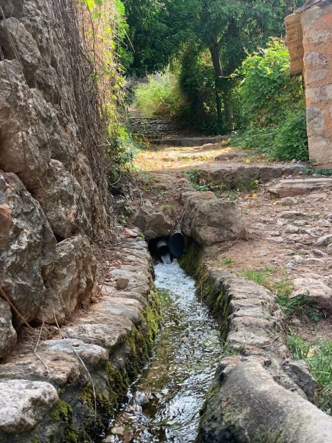 From Palma: Soller valley walk and picnic in orange farm - Final Thoughts