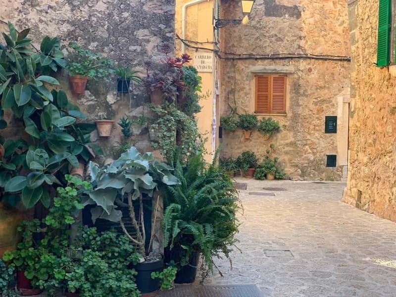 From Palma: Valldemossa Tour and Mountain Viewpoint Hike - From Palma: Valldemossa Tour and Mountain Viewpoint Hike — A Detailed Review