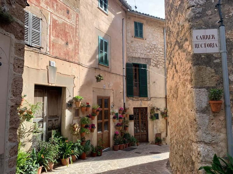 From Palma: Valldemossa Tour and Mountain Viewpoint Hike - Final Words: Is This Tour Right for You?