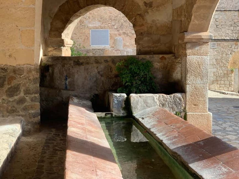 From Palma: Valldemossa Tour and Mountain Viewpoint Hike - FAQ