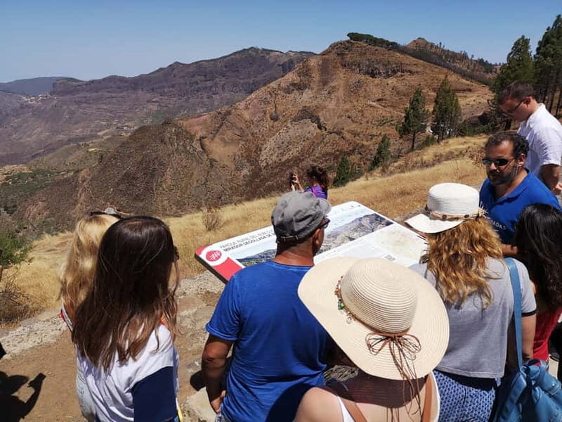 From Palmas: Pico de las Nieves & Roque Nublo Full-Day Trip - Final Thoughts