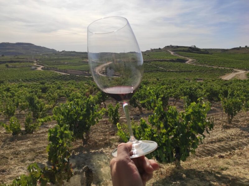 From Pamplona or Logroño: Rioja Wineries Day Trip w/ Tasting - From Pamplona or Logroño: Rioja Wineries Day Trip with Tasting — A Deep Dive