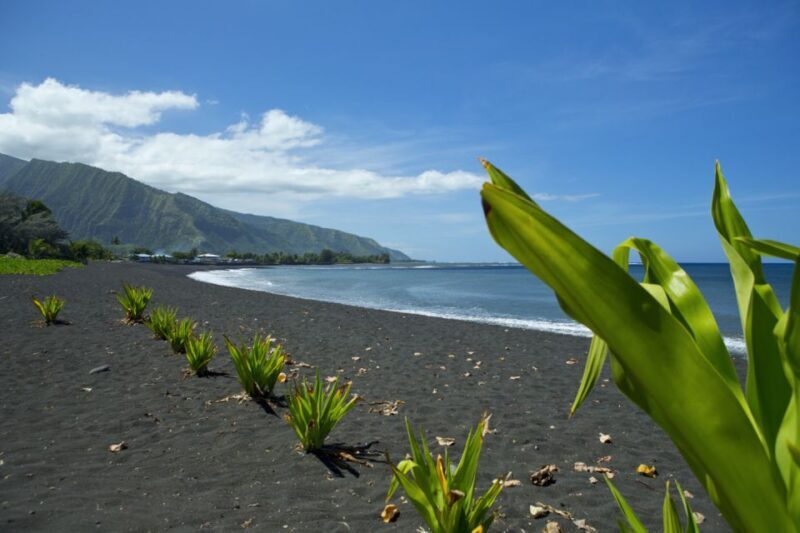 From Papeete: Tahiti Highlights Full-Day Private Tour - A Deep Dive into the Tahiti Highlights Full-Day Private Tour