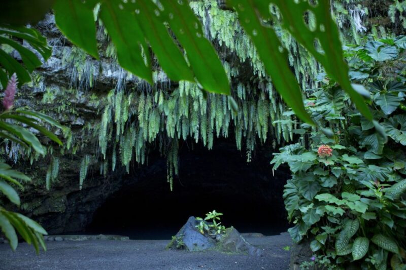 From Papeete: Tahiti Highlights Full-Day Private Tour - Who Will Love This Tour?