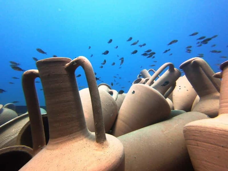 FROM PAPHOS: Snorkeling at the Marine Park (shore) - Key Points
