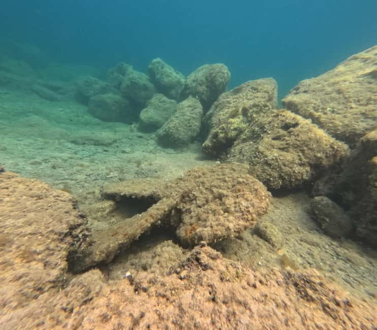 FROM PAPHOS: Snorkeling at the Marine Park (shore) - Frequently Asked Questions (FAQs)