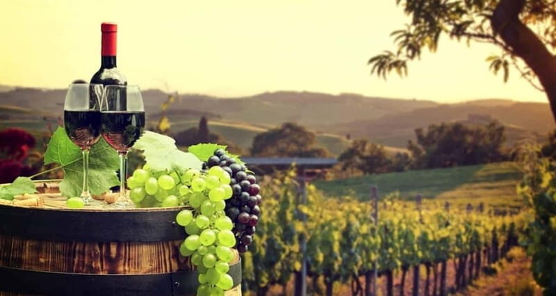 From Paphos: Taste of Cyprus (Private) - A Taste of Cyprus: Private Full-Day Tour from Paphos