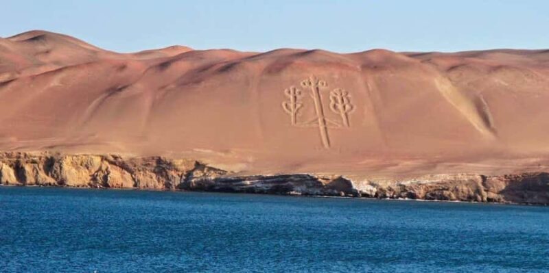 From Paracas ||Ballestas Islands + Paracas National Reserve - An In-Depth Look at the Tour Experience