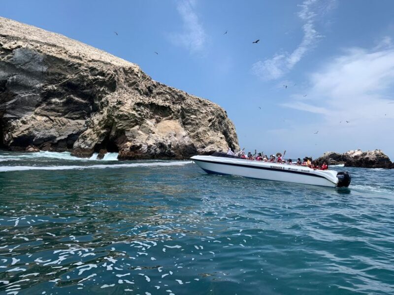 From Paracas: Ballestas Islands tour all Inclusive - Final Thoughts