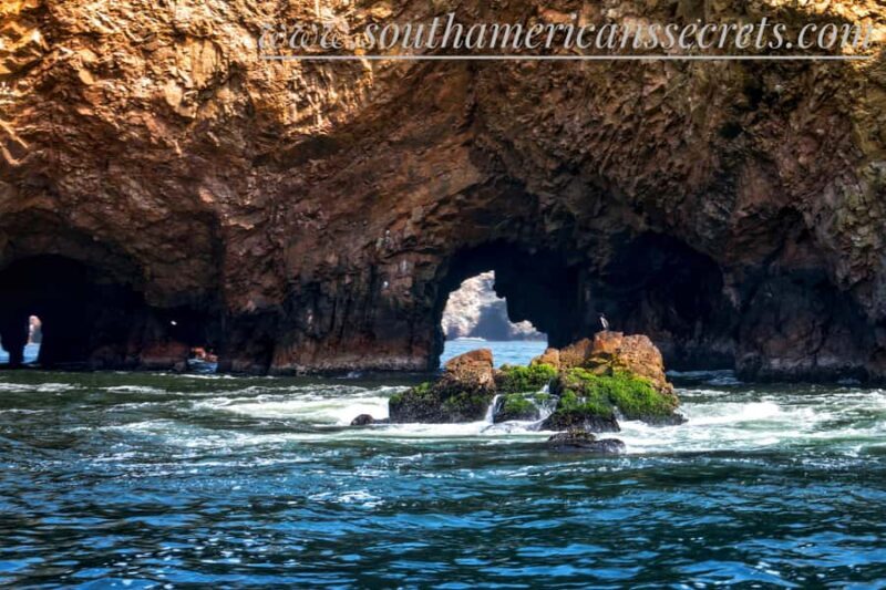From Paracas: Ballestas Islands tour all Inclusive - In-Depth Review of the Paracas Ballestas Islands Tour