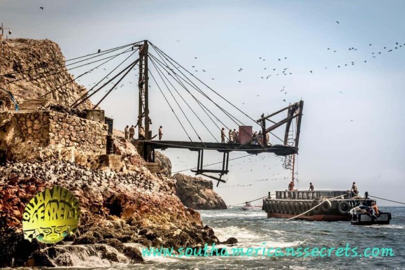 From Paracas: Ballestas Islands tour all Inclusive - Authentic Experiences and Authenticity