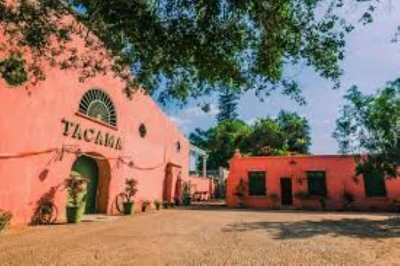 From Paracas | Excursion to Ica and Huacachina - Exploring the Itinerary: What to Expect