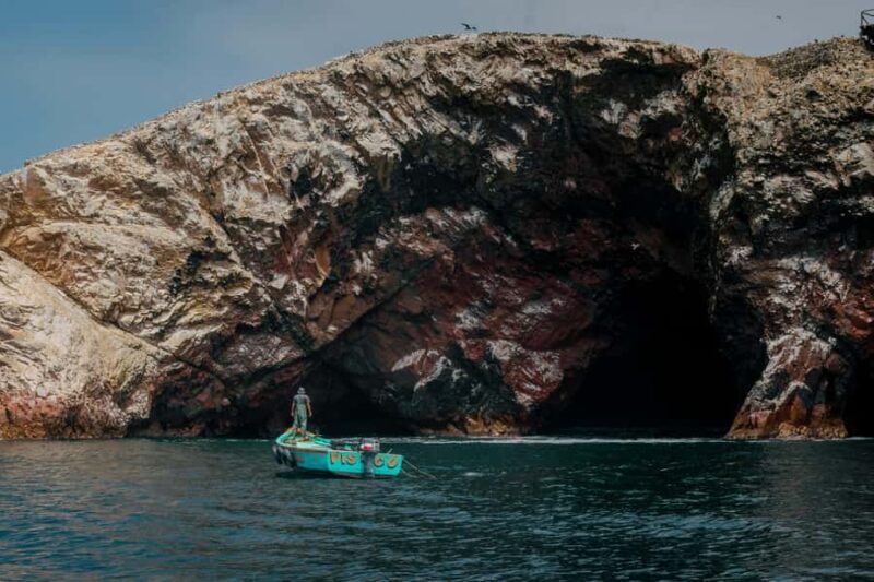 From Paracas: Explore the Natural Wonder of the Ballestas Islands - From Paracas: Explore the Natural Wonder of the Ballestas Islands