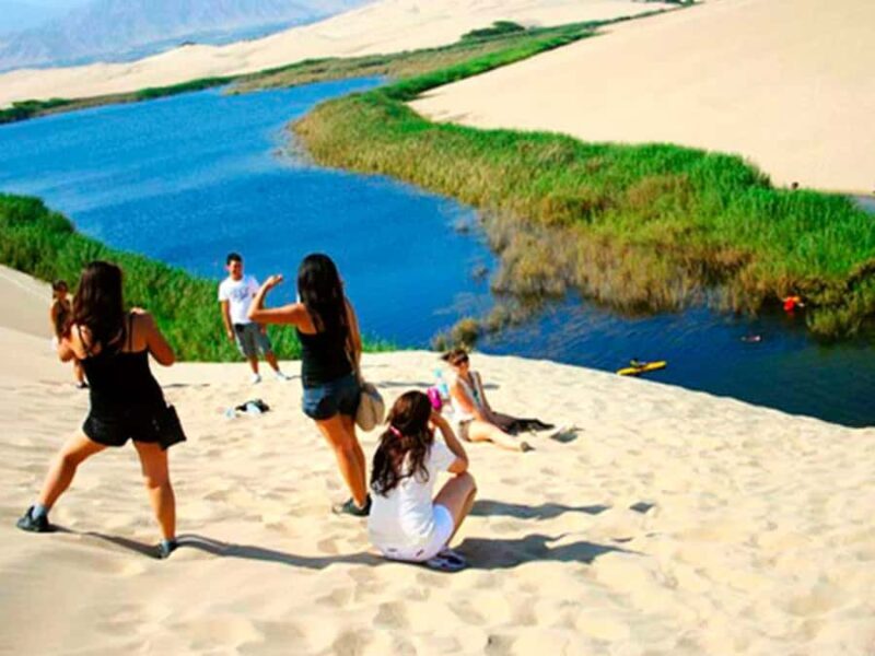 From Paracas: Mini Buggy Tour & Sandboarding at Oasis - Key Points