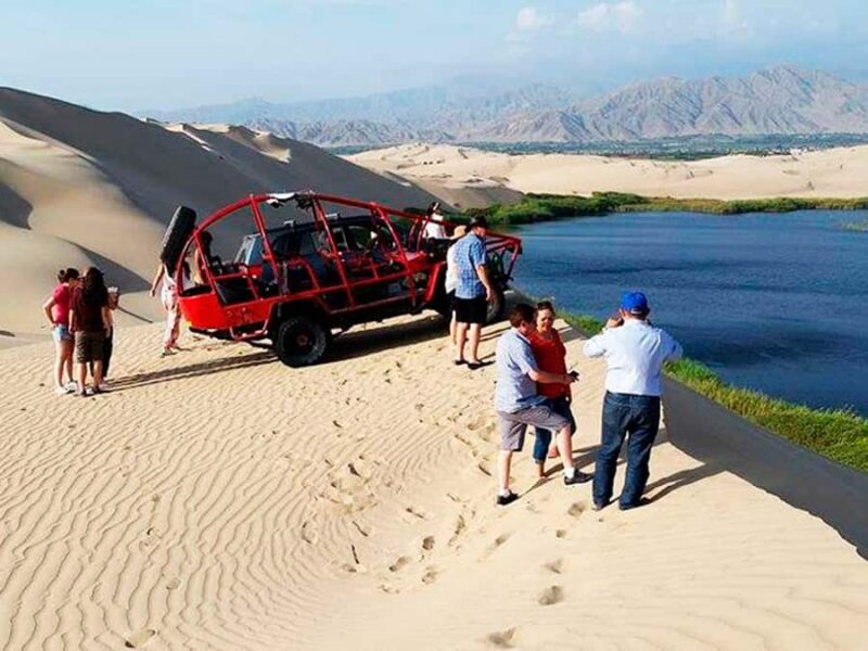 From Paracas: Mini Buggy Tour & Sandboarding at Oasis - The Itinerary: A Deep Dive into What You Can Expect