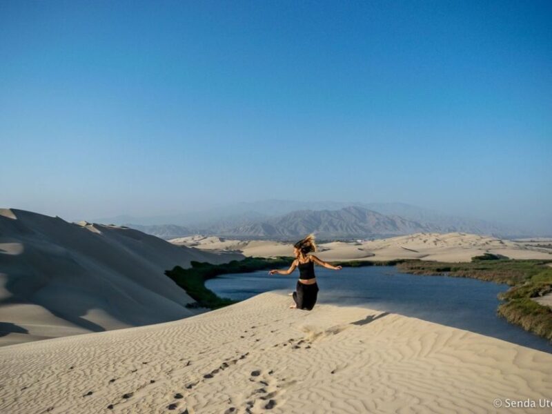 From Paracas: Mini Buggy Tour & Sandboarding at Oasis - FAQ