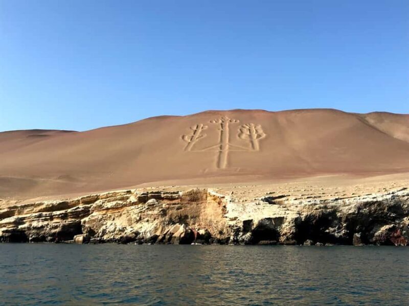 From Paracas or Pisco: Ballestas Islands Private Boat Trip - Who Is This Tour Best For?