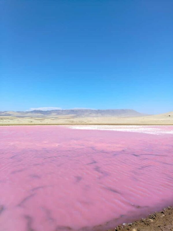 From Paracas: Paracas National Reserve Private Tour - From Paracas: Paracas National Reserve Private Tour – A Detailed Review