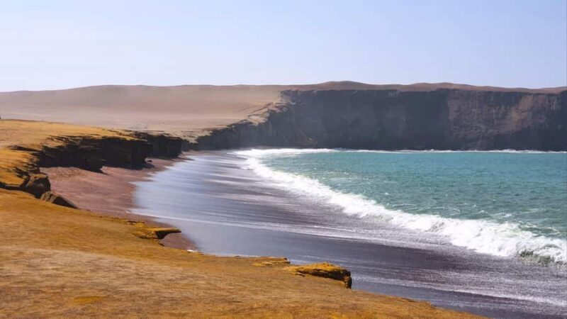 From Paracas: Paracas National Reserve Private Tour - Final Thoughts: Is This Tour Right for You?