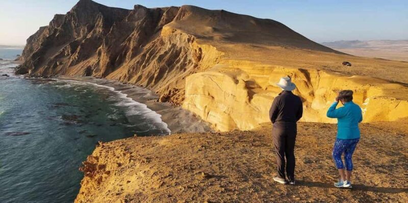 From Paracas: Private Tour Paracas National Reserve - Key Points