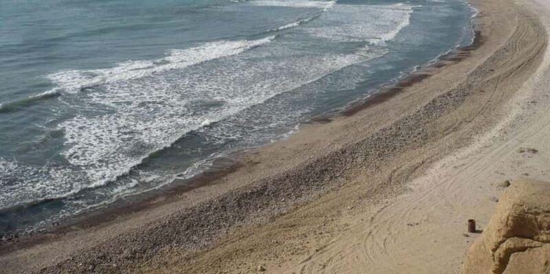 From Paracas: Private Tour Paracas National Reserve - A Thorough Look at the Paracas Private Tour Experience