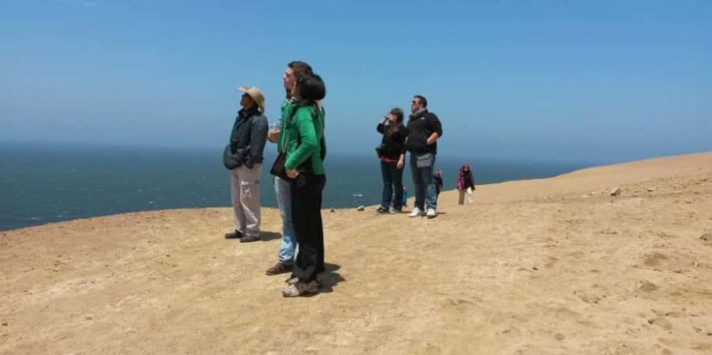 From Paracas: Private Tour Paracas National Reserve - Deep Dive into the Experience