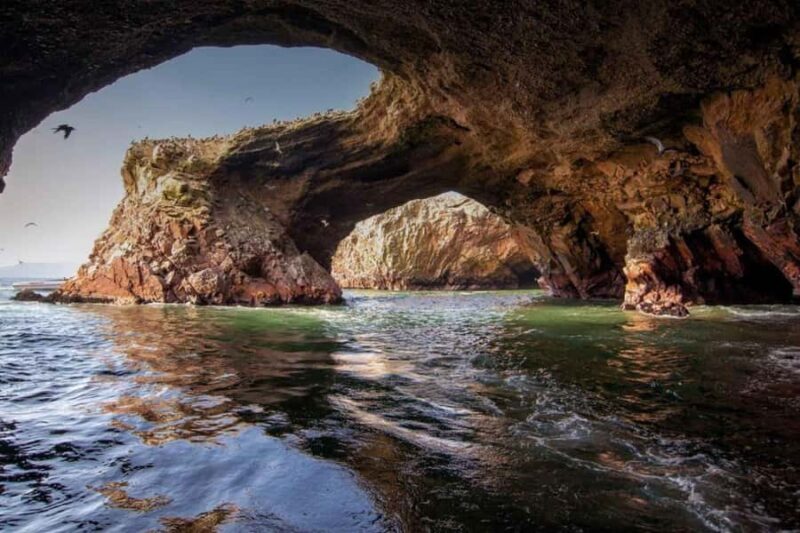 From Paracas-Sunset trekking in the Paracas National Reserve - A Detailed Look at the Sunset Trekking Experience