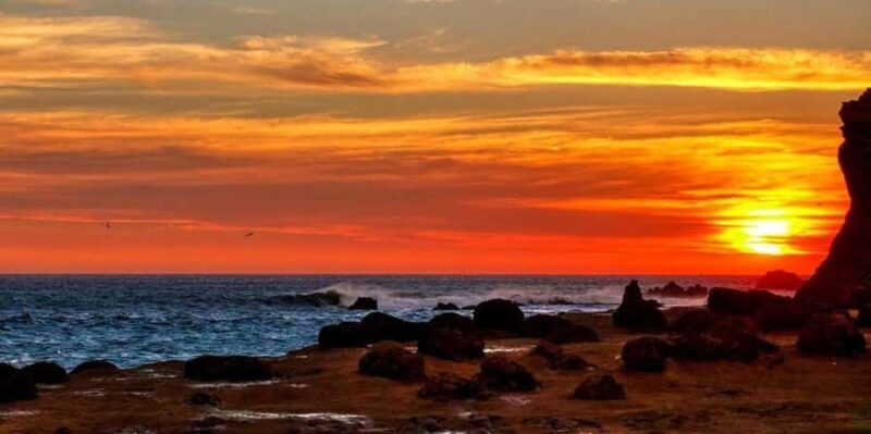 From Paracas-Sunset trekking in the Paracas National Reserve - Who Will Love This Tour?