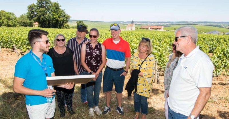 From Paris: Burgundy Region Winery Tour with Tastings - Key Points