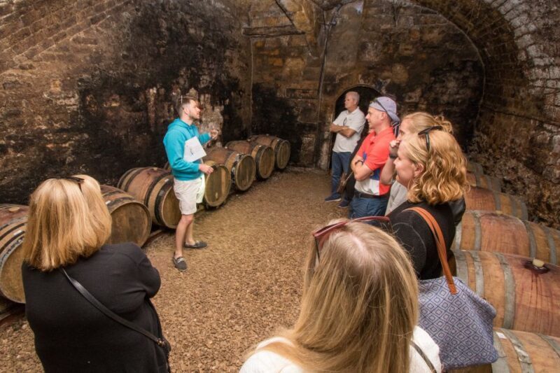 From Paris: Burgundy Region Winery Tour with Tastings - A Deep Dive into the Burgundy Day Tour