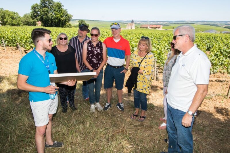 From Paris: Burgundy Region Winery Tour with Tastings - Considerations for Travelers