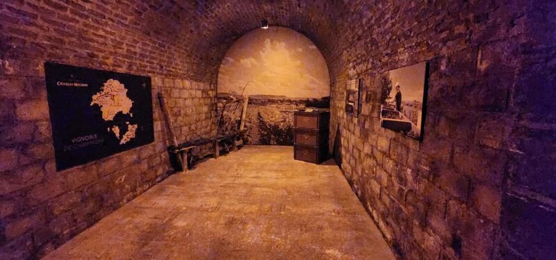 From Paris: Champagne Cellars and Vineyards Tour and Tasting - Lunch and Free Time in Epernay