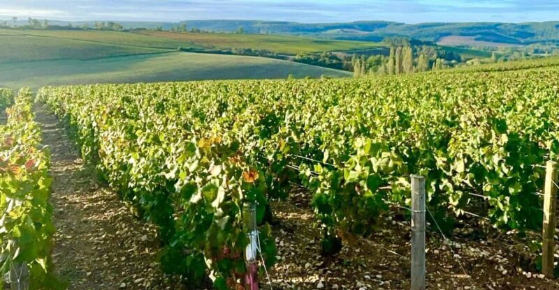 From Paris: Champagne, gastronomy and culture - Starting from Paris: Comfortable Transfers and a Smooth Begin
