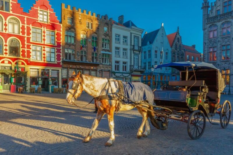 From Paris: Day Trip to Bruges with Optional Seasonal Cruise - The Pros and Cons