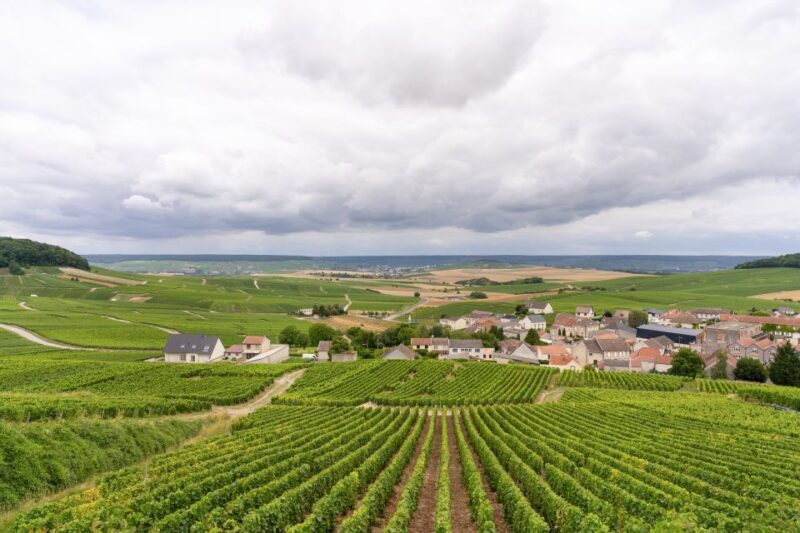 From Paris: Day Trip to Champagne with 8 Tastings & Lunch - Final Thoughts