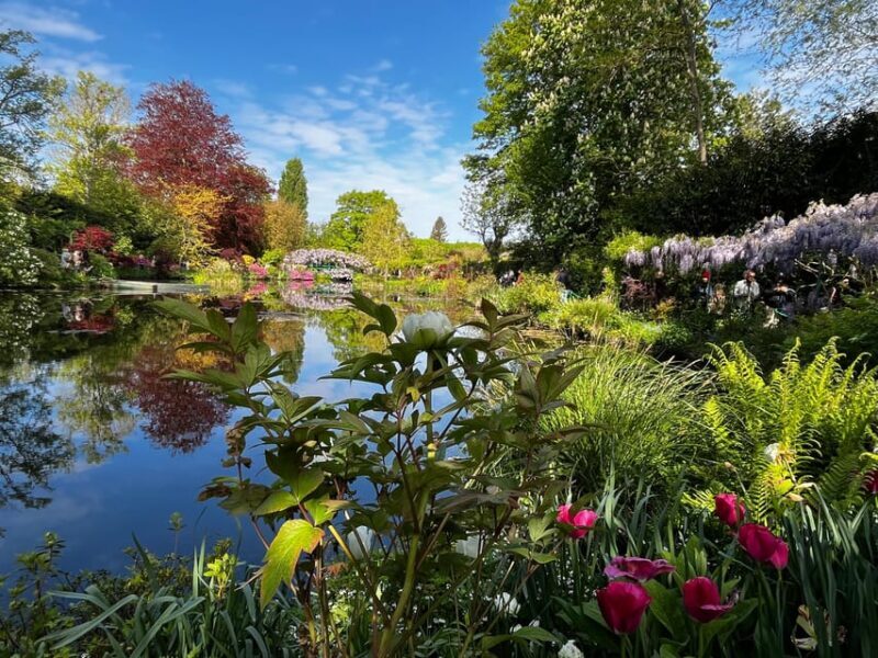 From Paris : Giverny & Orsay Museum - Private Tour - Why Art in a Museum Matters