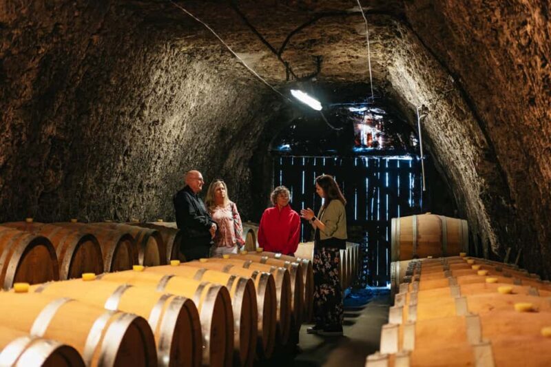 From Paris: Loire Valley Chambord Castle and Wine Tasting - Key Points