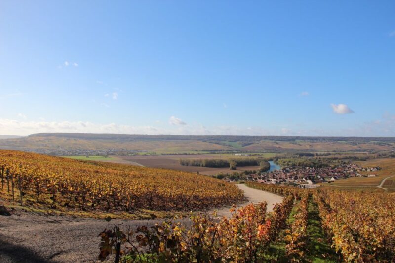 From Paris: Prestige Champagne Tour and Tastings - Practical Tips for Future Travelers