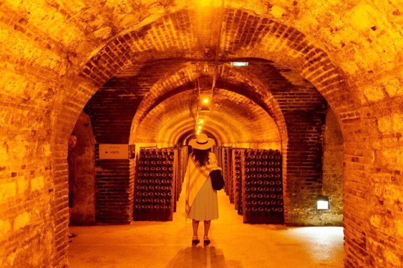 From Paris: Prestige Champagne Tour and Tastings - Who Should Consider This Tour?
